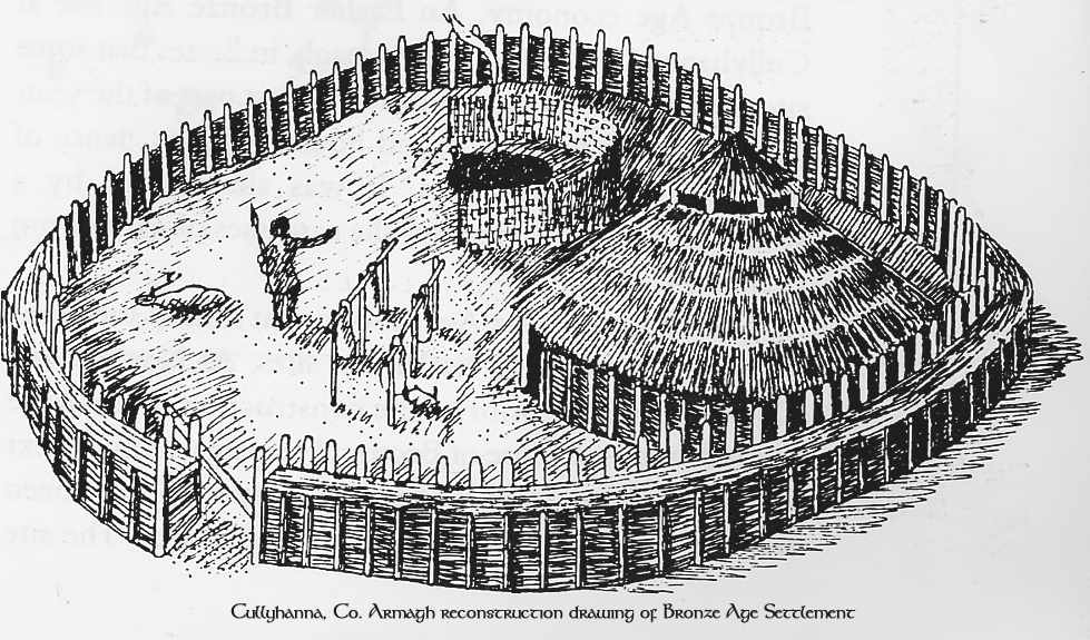 An iron age settlement
