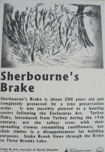Sherbourne's Brake