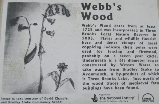 Webb's Wood
